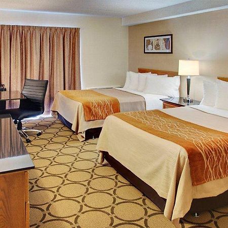 Comfort Inn Edmundston Dış mekan fotoğraf