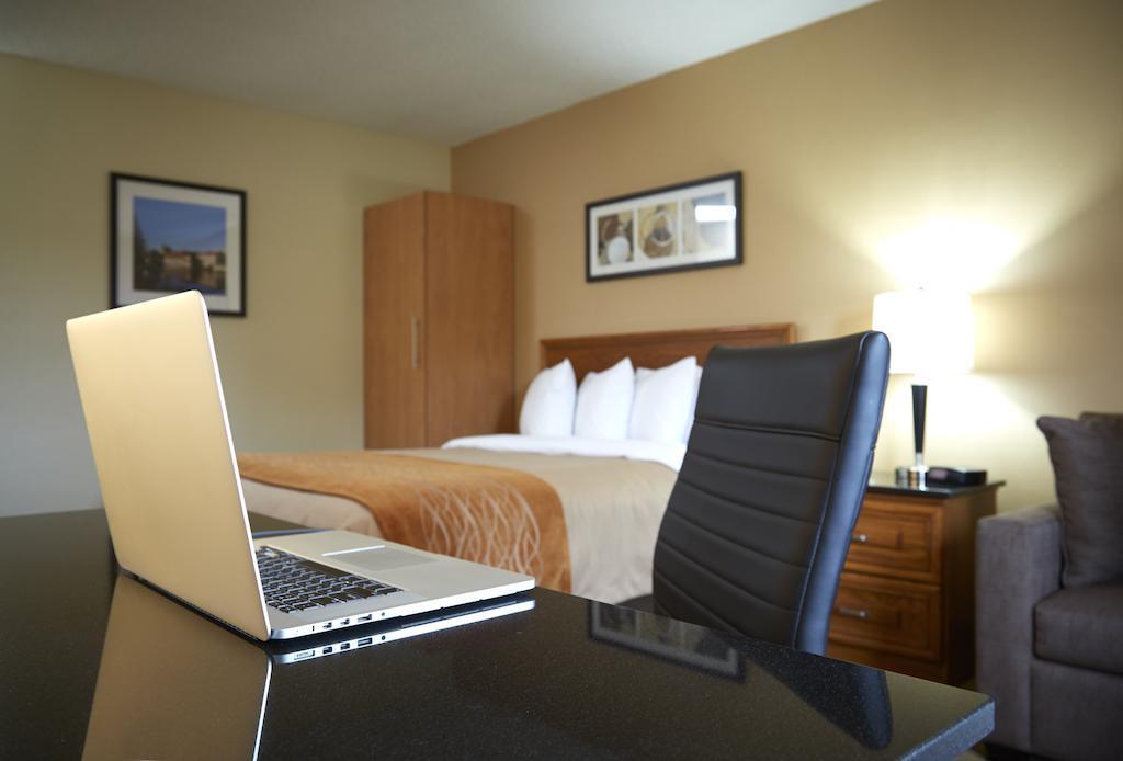 Comfort Inn Edmundston Dış mekan fotoğraf
