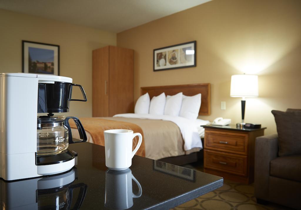 Comfort Inn Edmundston Dış mekan fotoğraf