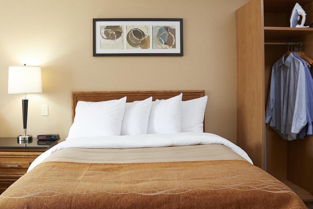 Comfort Inn Edmundston Dış mekan fotoğraf