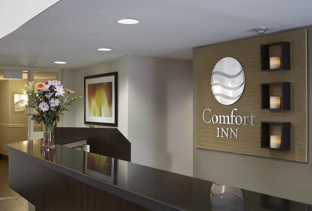 Comfort Inn Edmundston Dış mekan fotoğraf
